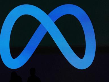 Systemic Failure in Age Assurance The Digital Services Act and the Meta Enforcement Crisis