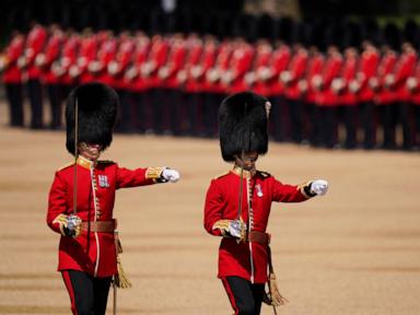 Buckingham Palace guard's distinctive bearskin caps under fire by animal rights group