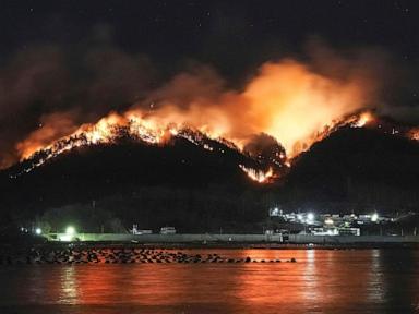 Japan fights forest fire that's damaged dozens of homes, caused hundreds to evacuate