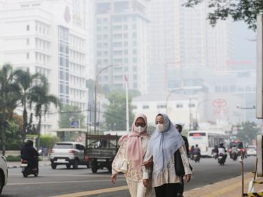 Wildfire traps firefighters and volunteers in Indonesia national park, killing 4