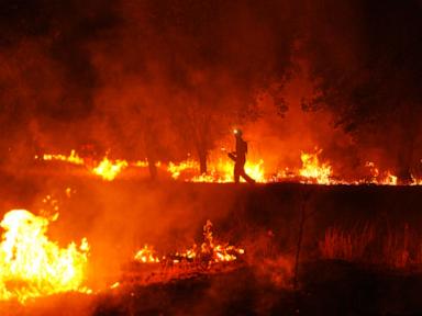 Firefighters confront Spain’s record wildfire, saying they have never seen anything like it