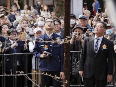 Japan's weather agency declares flowering of Tokyo's cherry blossoms as season begins