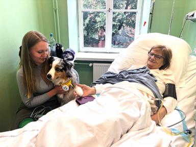 The Biobehavioral Mechanics of End-of-Life Animal Visitation: Deconstructing Palliative System Optimization