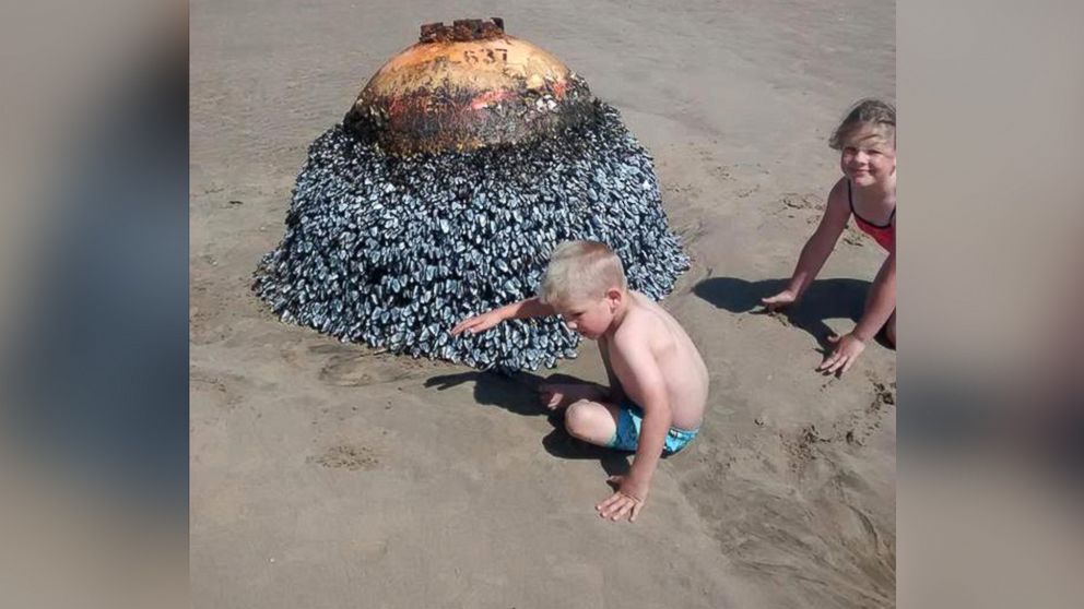PHOTO: Gareth Gravell's children, Ellis and Erin, climb on a barnacle-covered object at a beach in South Wales on Aug. 12, 2015. Local officials said that the object originated from the United States.
