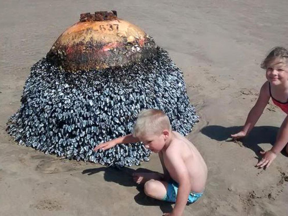 PHOTO: Gareth Gravell's children, Ellis and Erin, climb on a barnacle-covered object at a beach in South Wales on Aug. 12, 2015. Local officials said that the object originated from the United States.