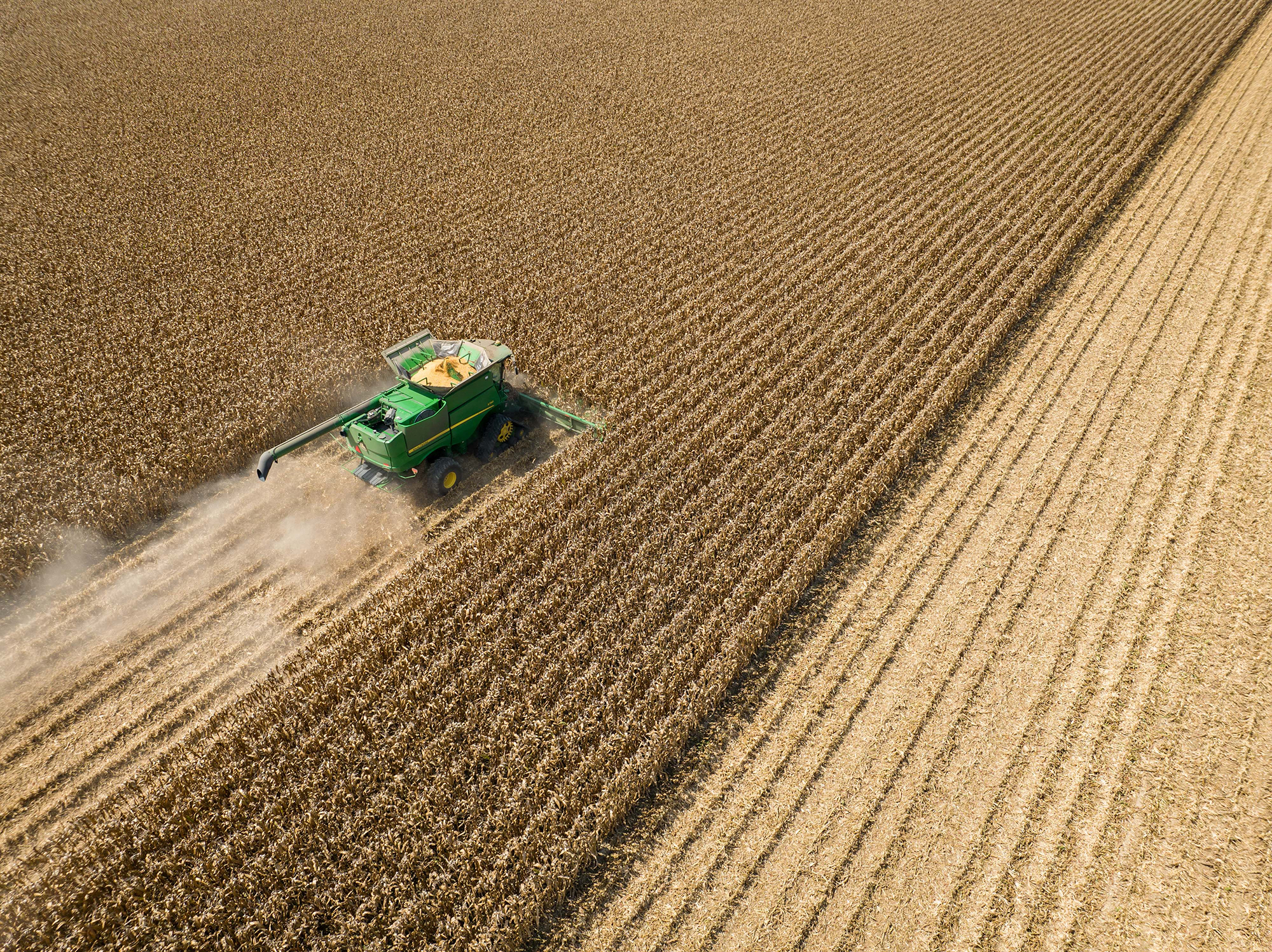 PHOTO: A combine tractor harvests corn in Leland, Miss., Aug. 16, 2022. 