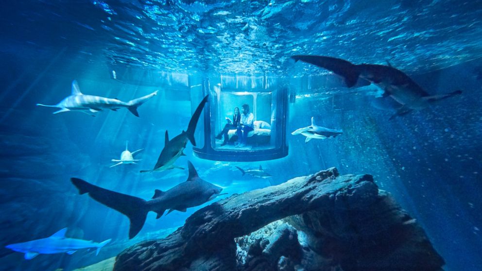 PHOTO: Shark Tank Airbnb Bedroom Lets You Sleep With the Fishes, Literally