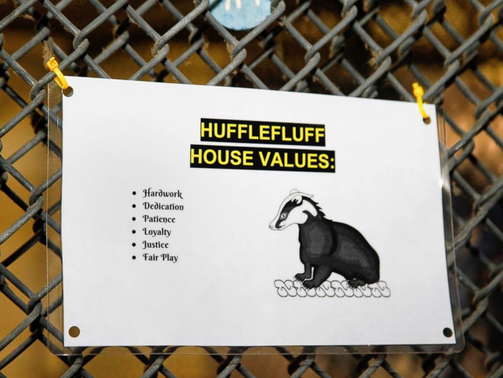 PHOTO: A sign at the Pet Alliance of Greater Orlando shows the values of the Hufflefluff house.