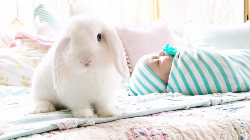 Mom's Photos of Her Babies Cuddling Their Pet Bunnies Are Heaven on