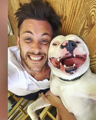 VIDEO: Internet Goes Crazy for Selfie of Smiley Dog and His New Owner