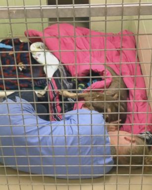 VIDEO: Prissy, an abandoned dog from Tennessee was rescued by the Conway Area Humane Society in New Hampshire. After the dog had surgery to be spayed, shelter worker Chrissy Ireland climbed into her cage to cuddle and comfort her.