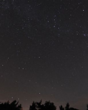 The Perseid meteor shower put up on a beautiful show overnight when it peaked with as many as 200 meteors per hour flying through the night sky.