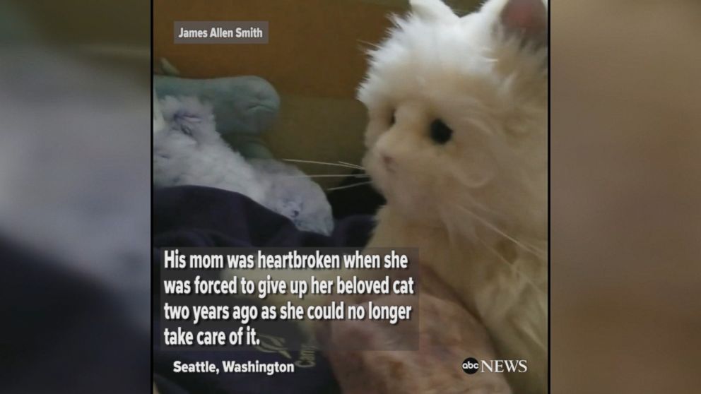 Man gives his mother a robotic cat as a birthday gift after she was forced to give up her cat due to dementia and mobility issues. "Oh I love him."
