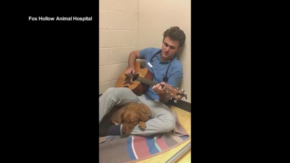 Colorado vet serenades puppy before surgery - ABC News