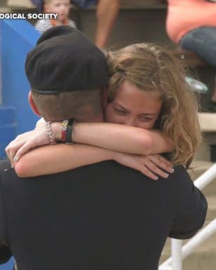 Kristi Flury sprinted into the arms of her dad, Capt. Josh Flury, at Chicago's Brookfield Zoo.