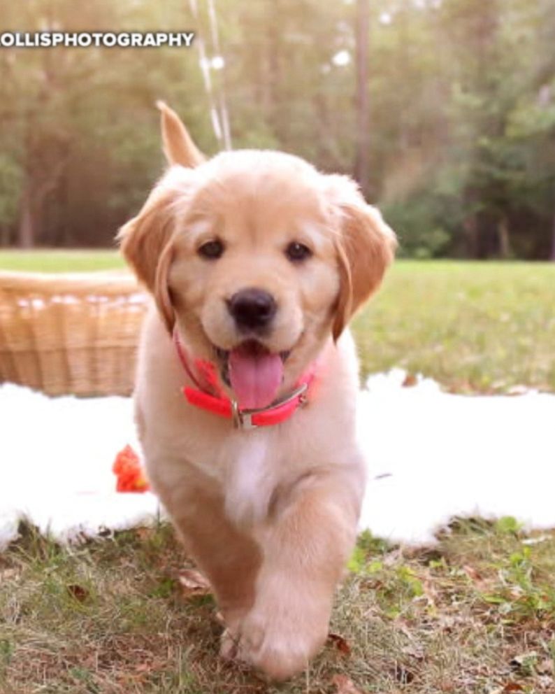 Man Loves His Puppy So Much He Has Zero Shame About Having A