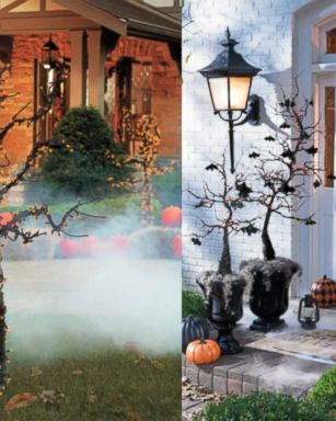 Retailers report an uptick in sales of Halloween trees and more options are now available for consumers.