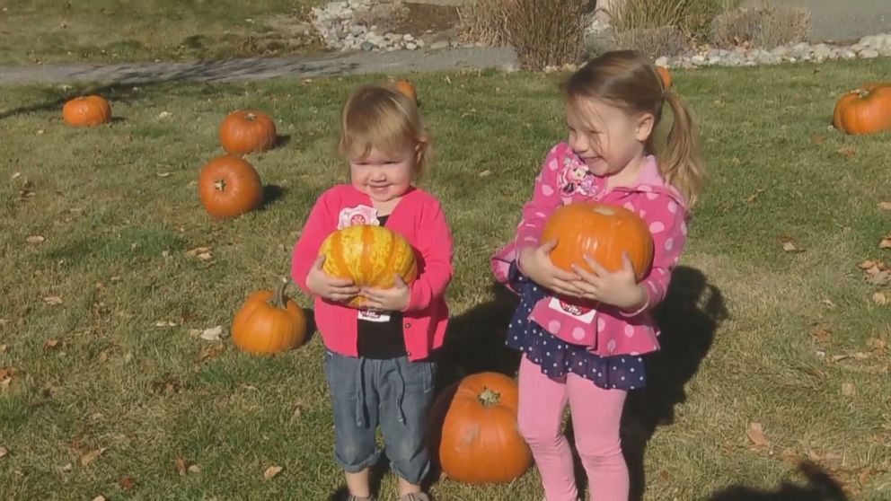 This is the 10th year the community of Aurora, Colorado, has set up pumpkins for children to pick on the hospital's front lawn. 