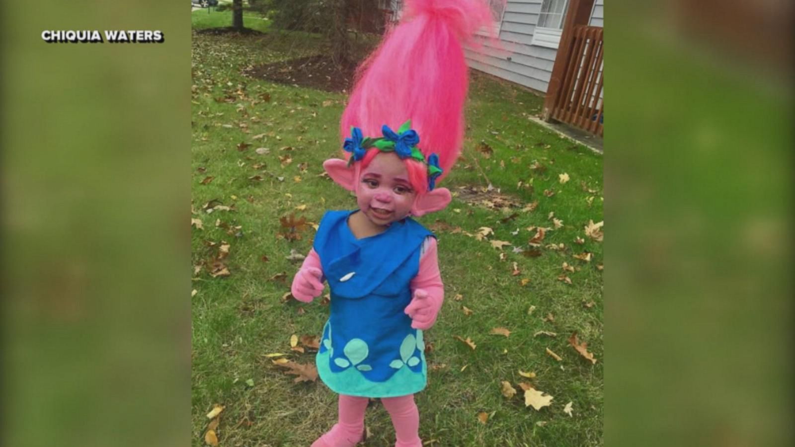 trolls for toddlers