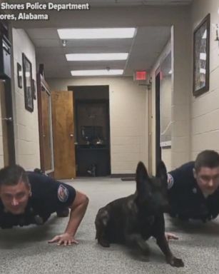 Every officer works out at this police department -- including Nitro the police dog - who matches his human partners in pushups.