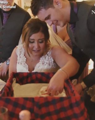 VIDEO: One man surprised his wife with a three-week-old Westie puppy at their wedding.