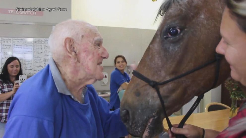 VIDEO: Horse visits retirement home in touching video