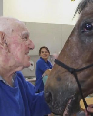 VIDEO: Horse visits retirement home in touching video