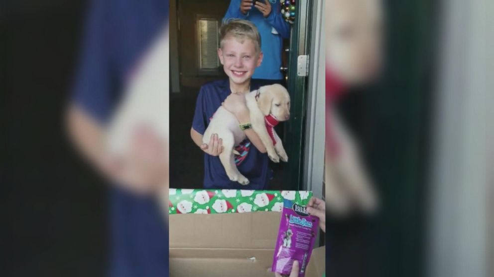 VIDEO: Boy being surprised with dog for Christmas is pure magic to see 