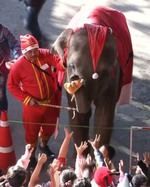 VIDEO: In Thailand, a pachyderm really knows how to spread Christmas cheer.