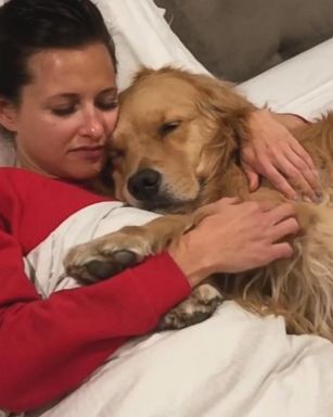 VIDEO: Nap time seems to be the right time for this golden retriever in Marina Del Rey, California.