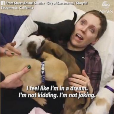 VIDEO: Courtney Gessford cuddled with every puppy at the Front Street Animal Shelter in Sacramento, California.