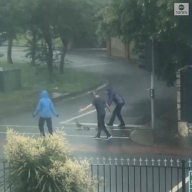 VIDEO: Dublin residents help mother and ducklings cross the street