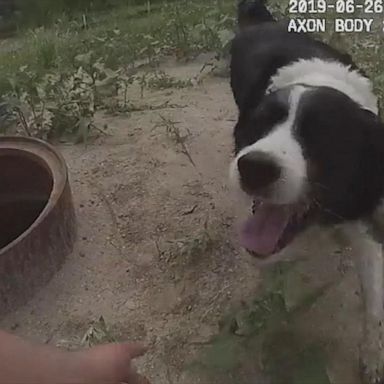 VIDEO: Officer climbs into storm drain to help trapped pup