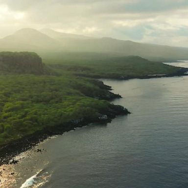 VIDEO: Exploring the Galapagos Islands