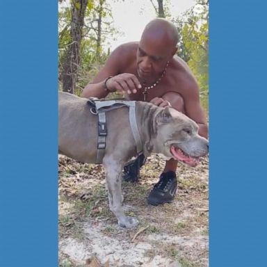 VIDEO: Man has emotional reunion with dog he gave up 10 years ago