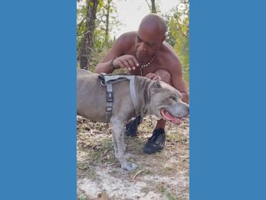 WATCH:  Man has emotional reunion with dog he gave up 10 years ago