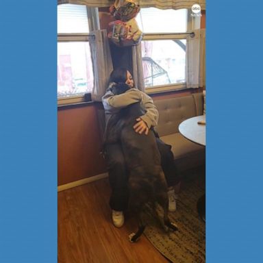 VIDEO: Dog reunites with owner after more than 100 days apart