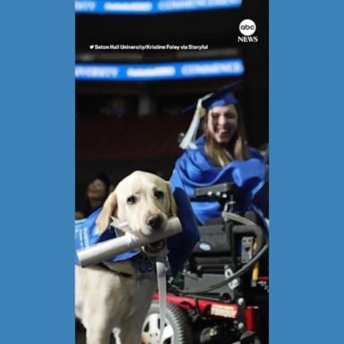 VIDEO: Service dog receives diploma after attending classes with owner