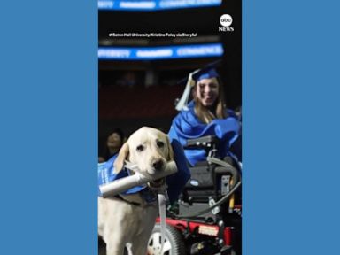 WATCH:  Service dog receives diploma after attending classes with owner