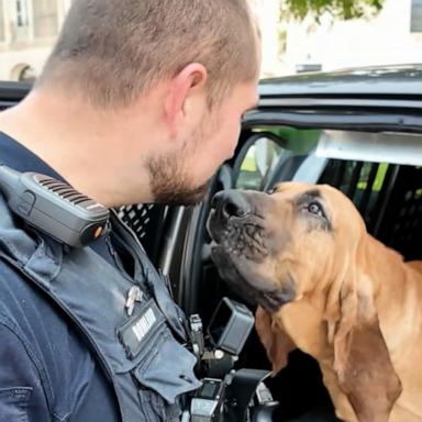 The American Humane 'Hero Dog' of the year award was given to North Carolina police dog Bo of the Gastonia Police Department alongside his handler Sgt. David Rowland.