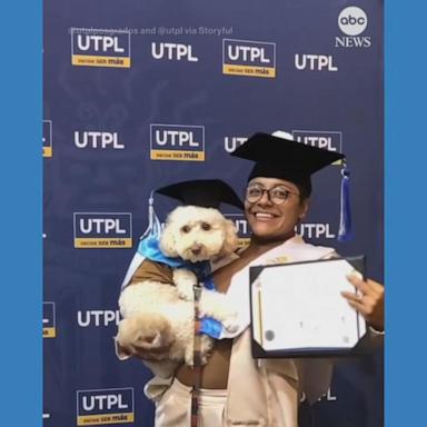 VIDEO: Student and emotional support dog attend graduation ceremony together