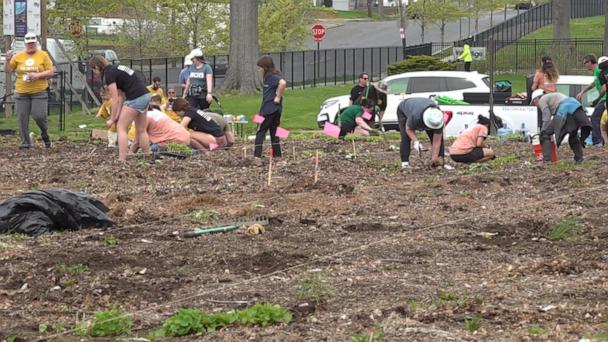 Healing through gardening: Organization connects US veterans with nature