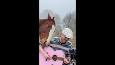 VIDEO: Scientists believe that animals respond to our music in similar ways