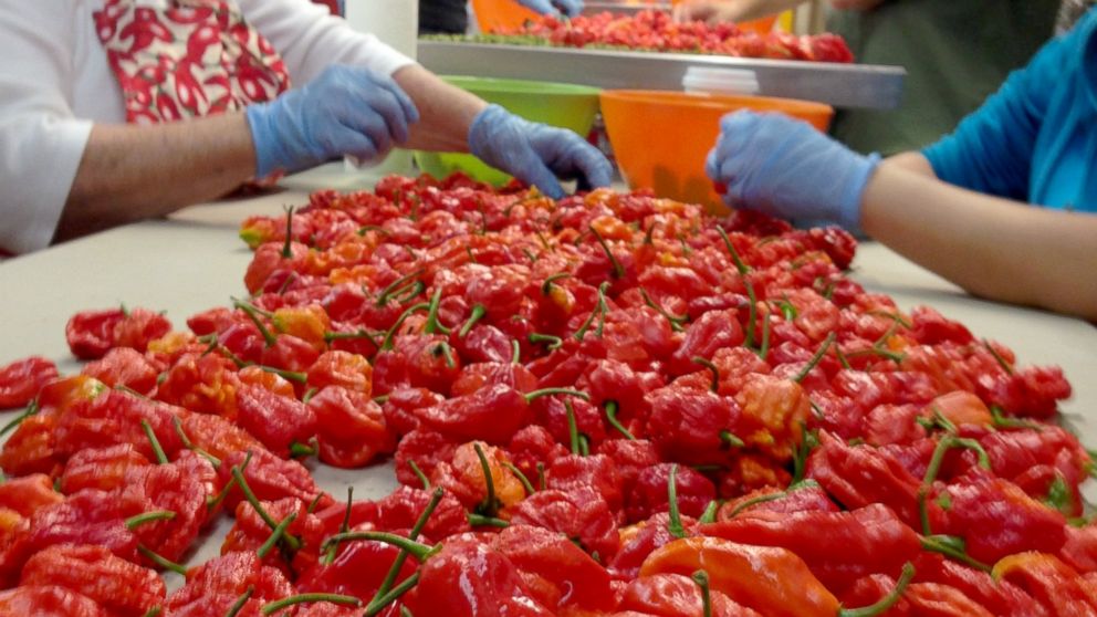 What Happens When You Eat A Carolina Reaper One Of The World S Hottest Peppers Abc News