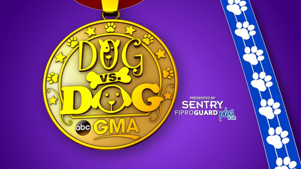 "Good Morning America" wants to see your dog doing the craziest, funniest and most jaw-dropping tricks ever!