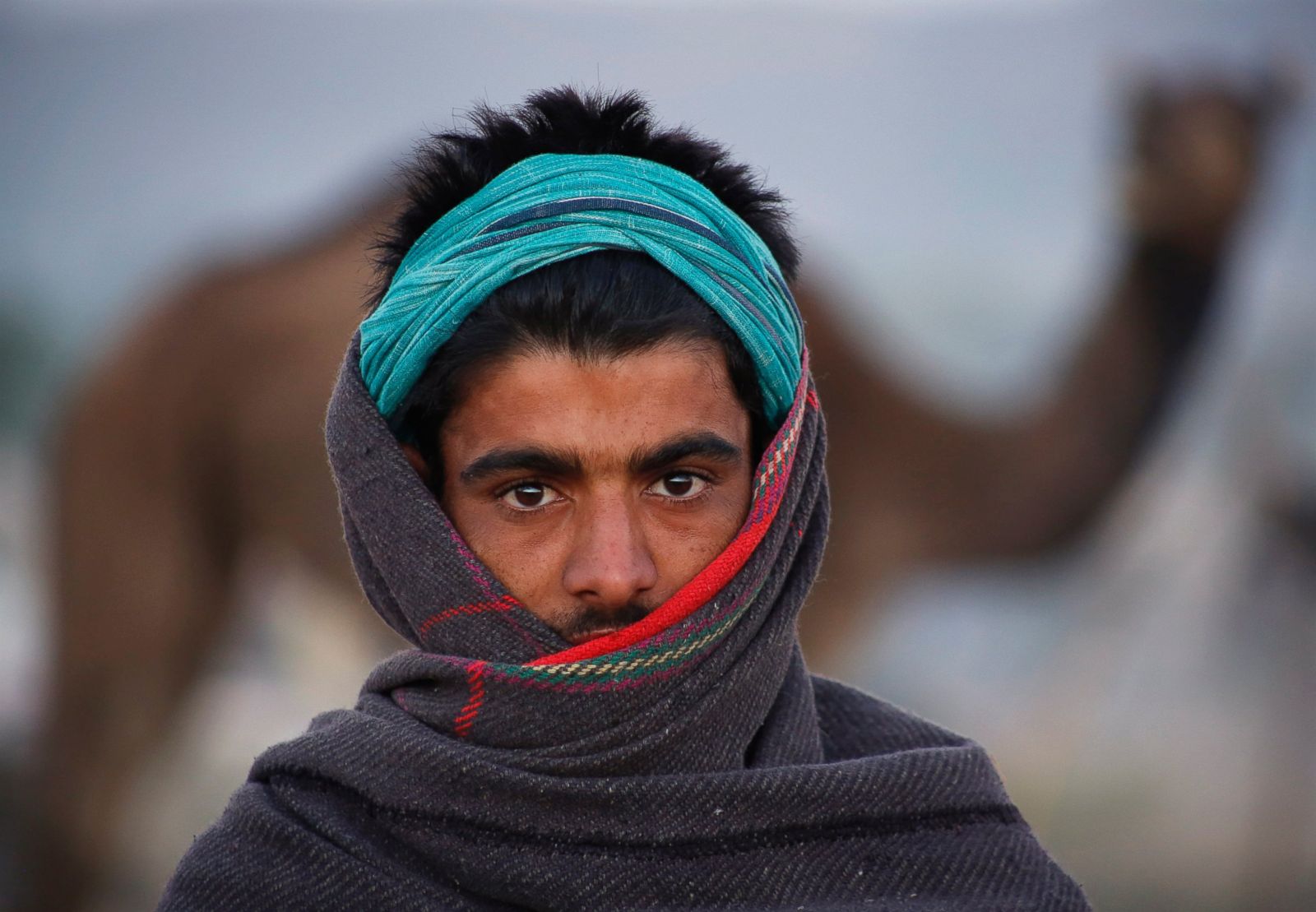 Pushkar Camel Fair ABC News