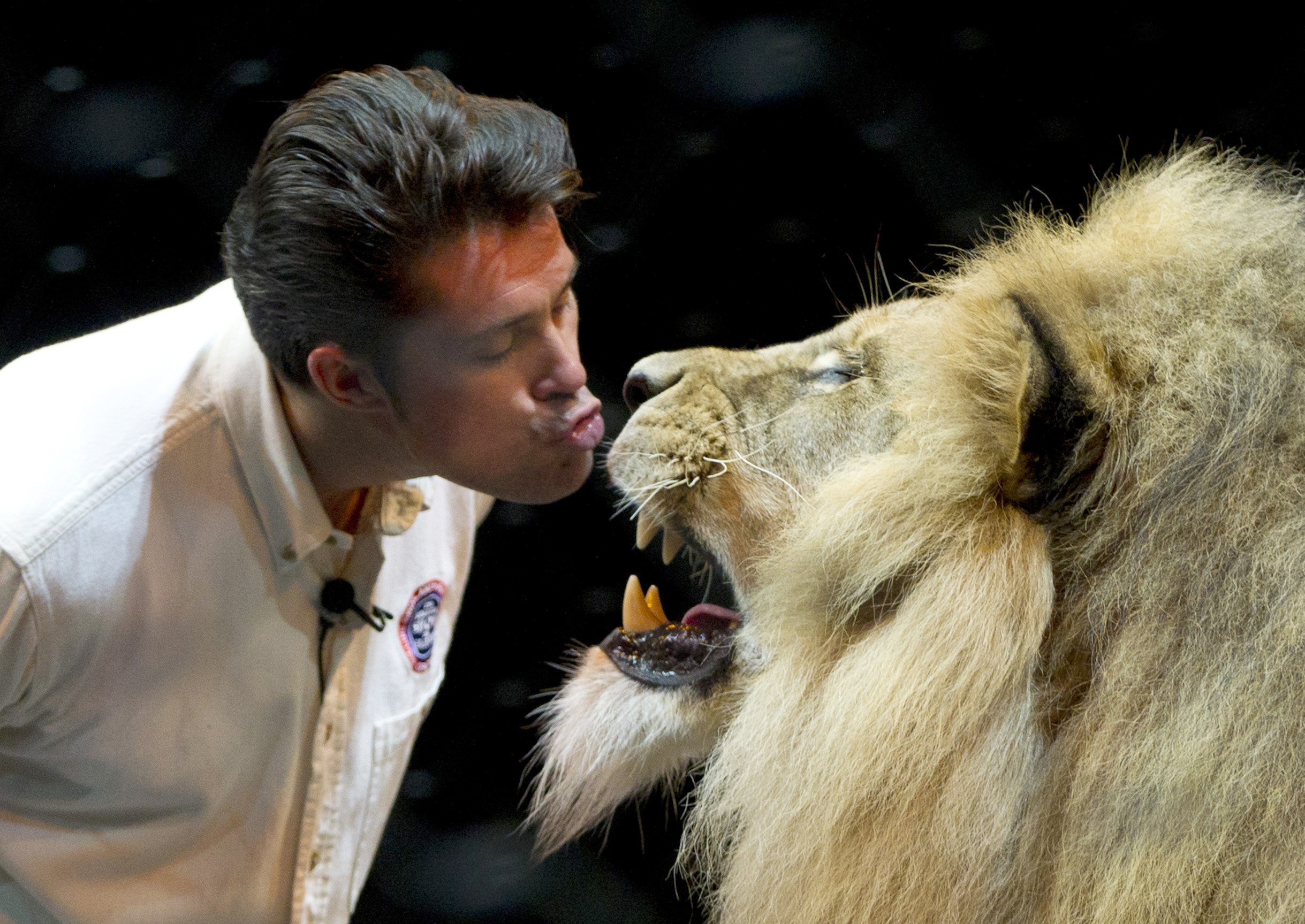 PHOTO: Big-cat trainer Alexander Lacey works with his lion Masai on stage during training for a Ringling Bros. and Barnum & Bailey circus performance in Mexico City. 