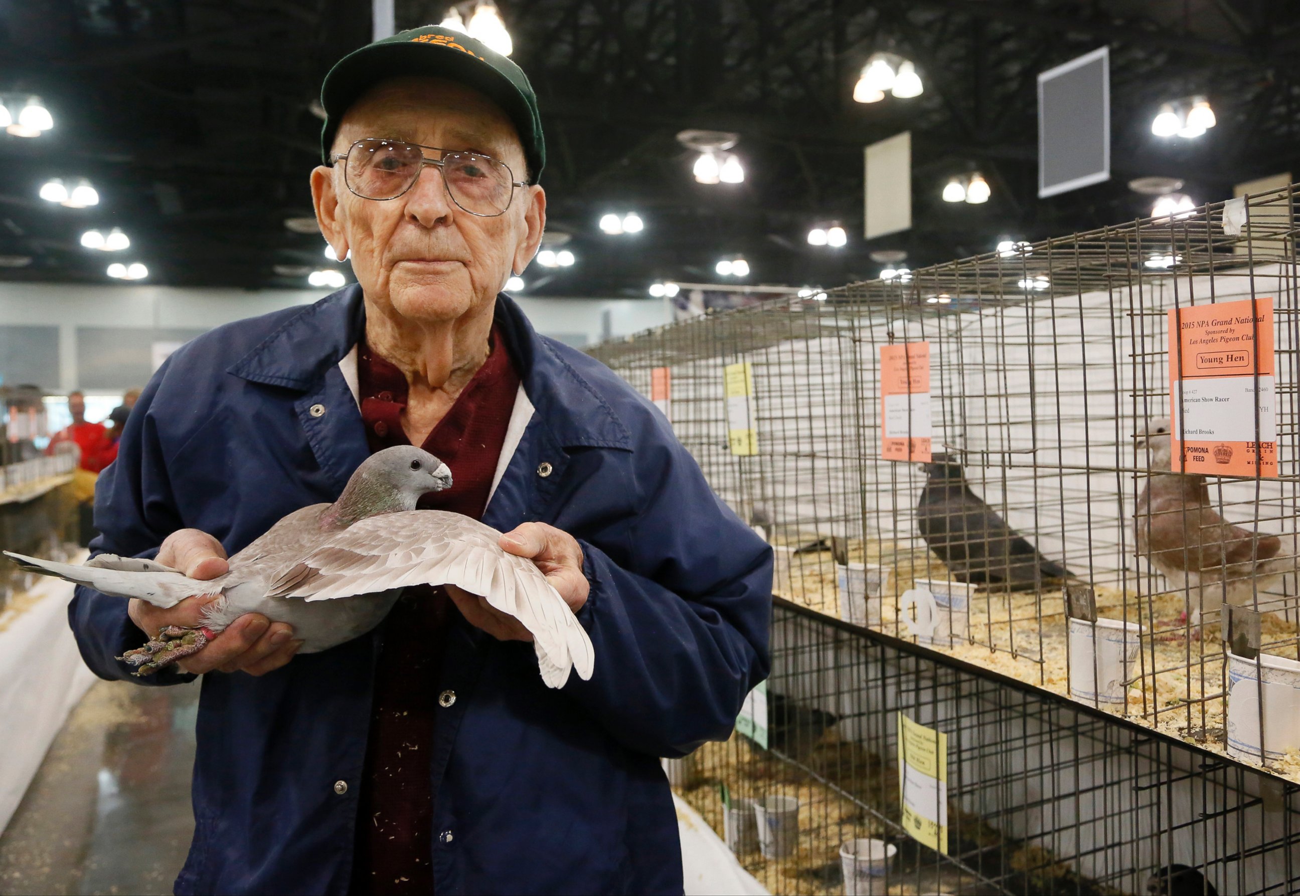 PHOTO: Richard Brooks, 94, holds a pigeon at the National Pigeon Association's 93rd annual Grand National Pigeon Show in Ontario, Calif., Jan. 29, 2015.