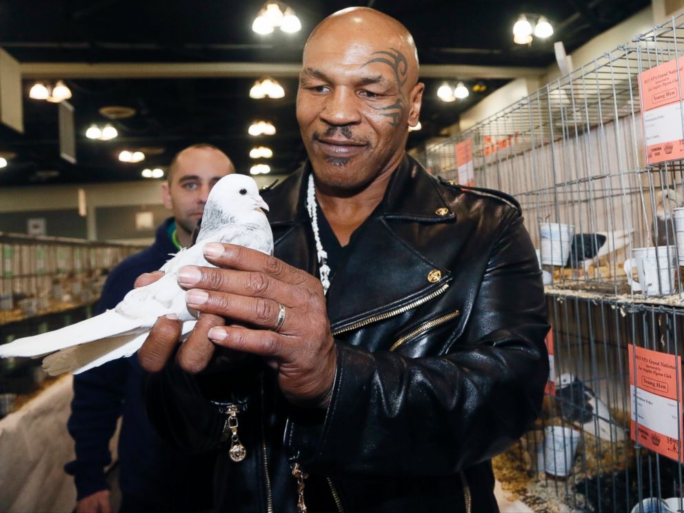 PHOTO: Former boxing champion Mike Tyson holds a white homing pigeon at the National Pigeon Associations 93rd annual Grand National Pigeon Show in Ontario, Calif., Feb. 2, 2015.