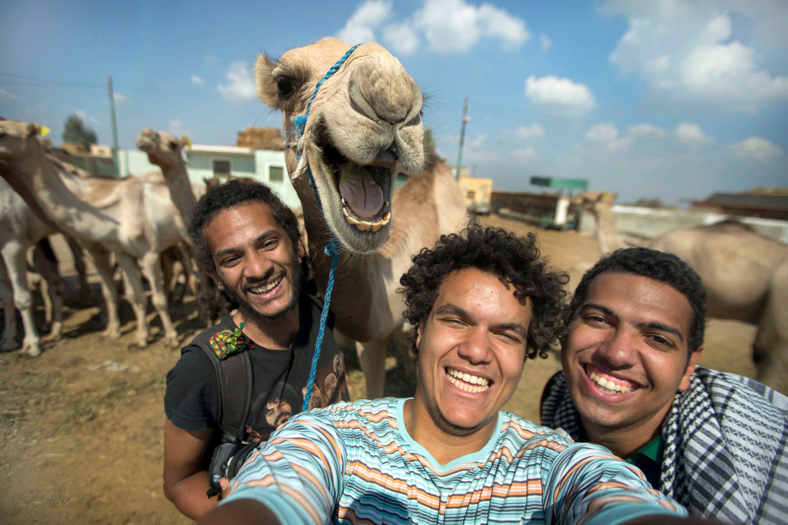 Самые фото дня. Забавные фото. Смешные картинки. Прикольные фото людей. Забавные фотографии людей.